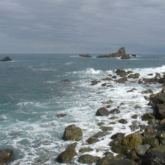 DSC03991