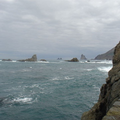 DSC03992