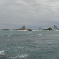 DSC03993