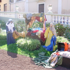 DSC03629