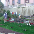 DSC03638