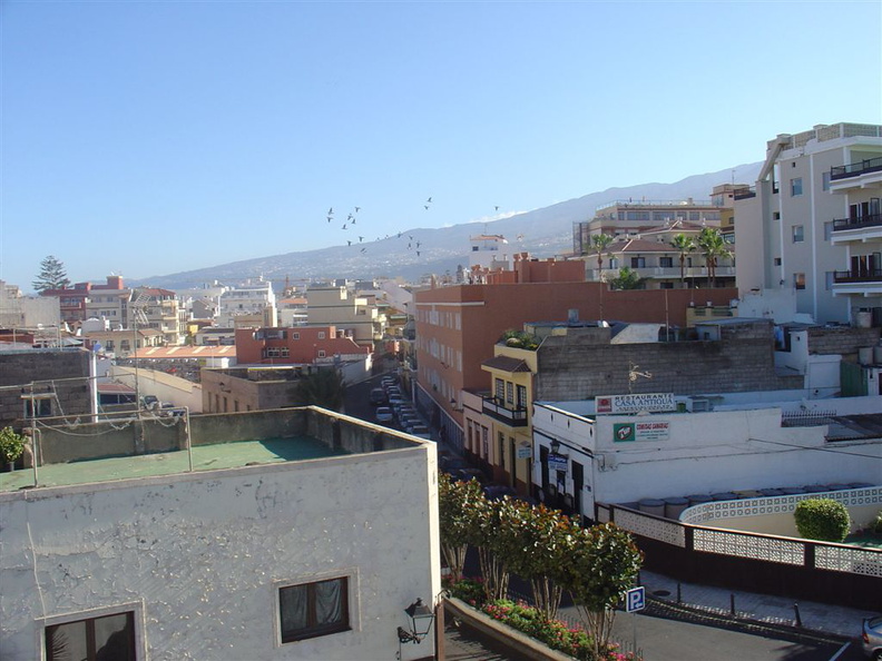 DSC03559.JPG