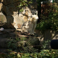 DSC01497
