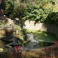 DSC01503