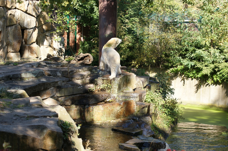 DSC01507.jpg