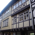 DSC05442