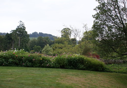 DSC01168