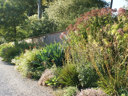 DSC01320