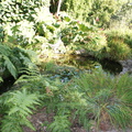 DSC01324