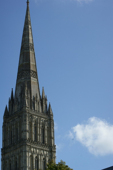 DSC01140.jpg