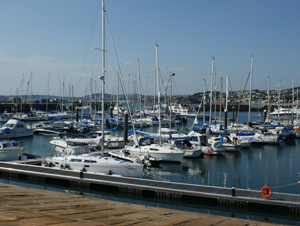 DSC01237