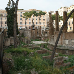 DSC00468