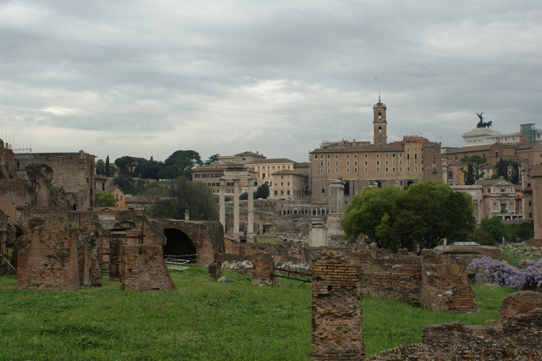 DSC00544.jpg