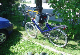 Benediktweg
