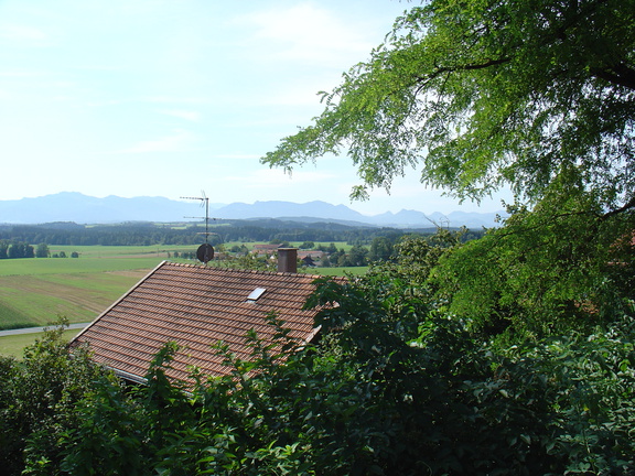 DSC05704
