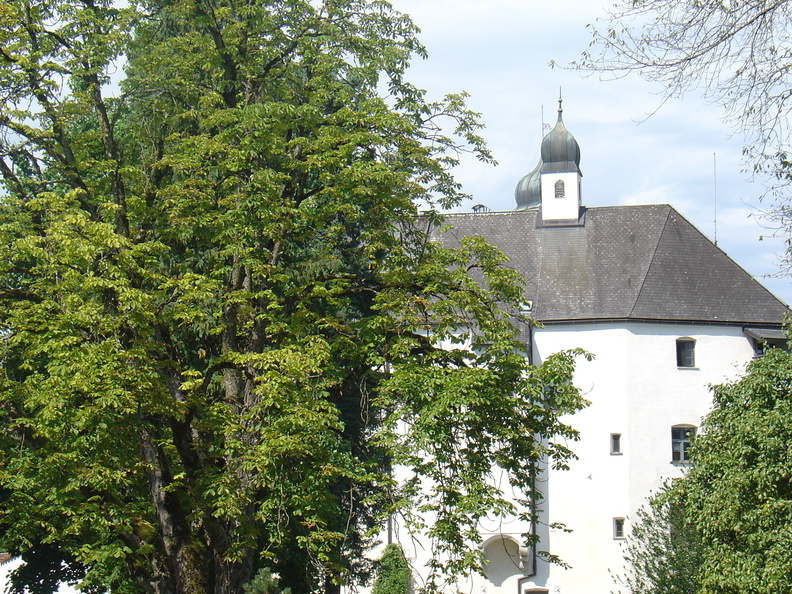 DSC05706.JPG