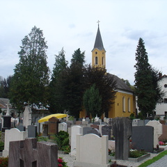 DSC05741