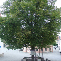 DSC05821