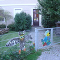 DSC05904