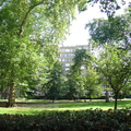 DSC06116