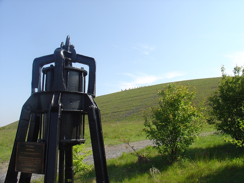 DSC05616