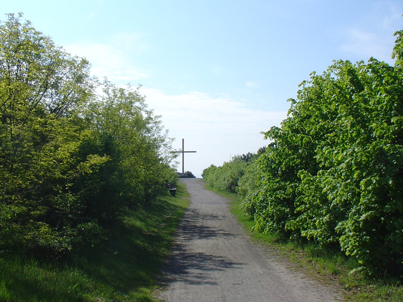 DSC05619