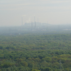 DSC05631
