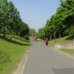 DSC05666