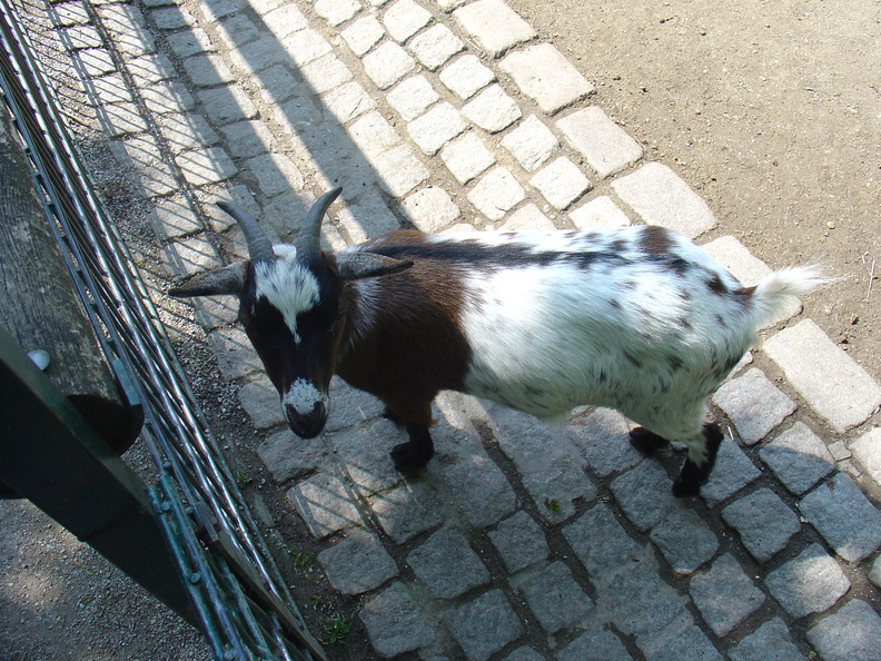 DSC05671.JPG