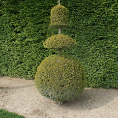DSC01867