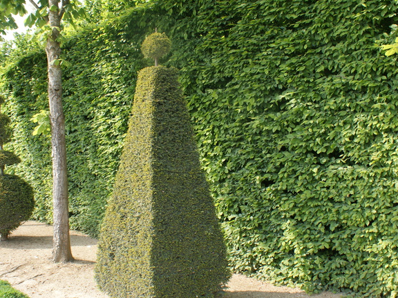 DSC01868
