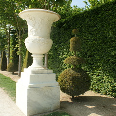 DSC01870