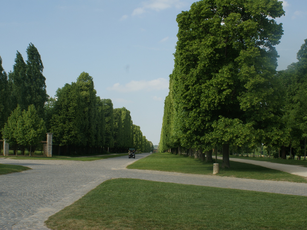 DSC01878