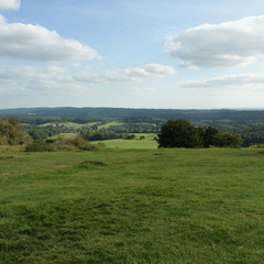 DSC02779