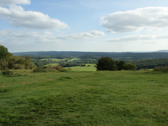 DSC02779