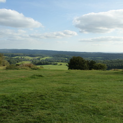 DSC02781