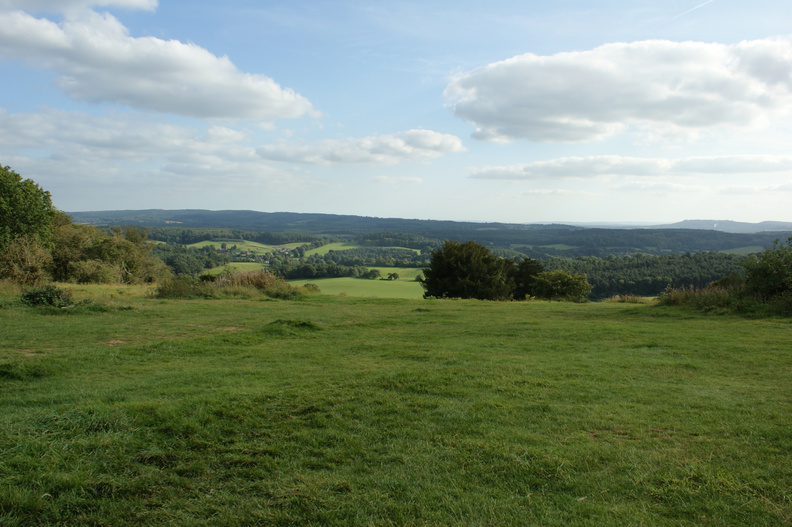 DSC02781.jpg