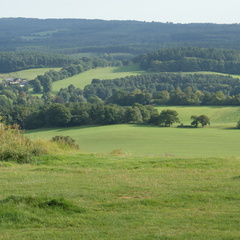 DSC02782