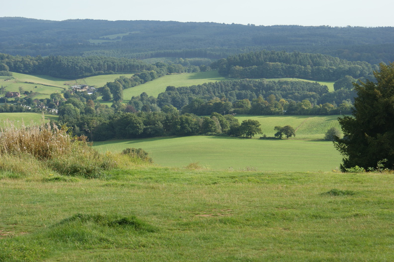 DSC02782.jpg