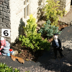 6