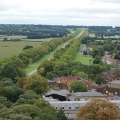 DSC02445