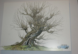 DSC03811