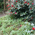 DSC03160