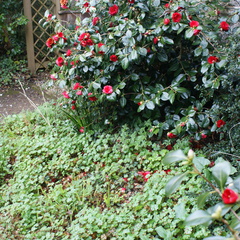 DSC03160