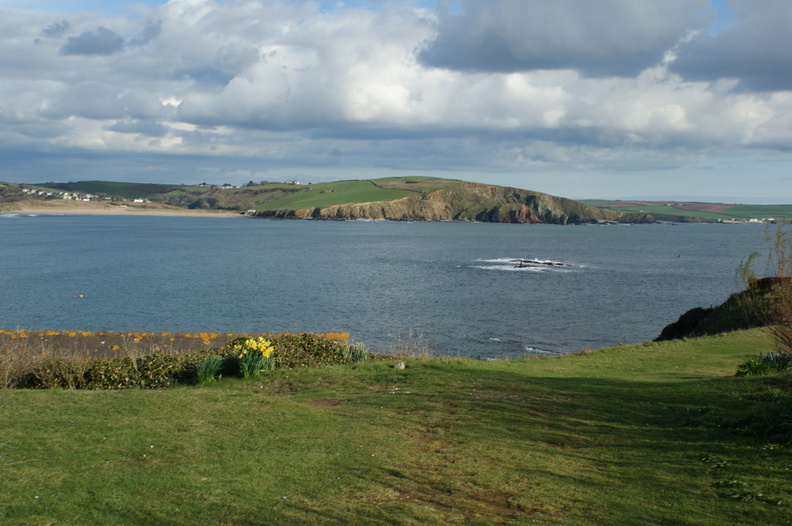 DSC03339.jpg