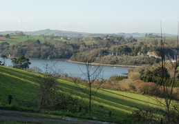 DSC03478