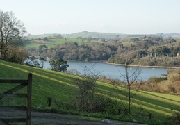 DSC03479