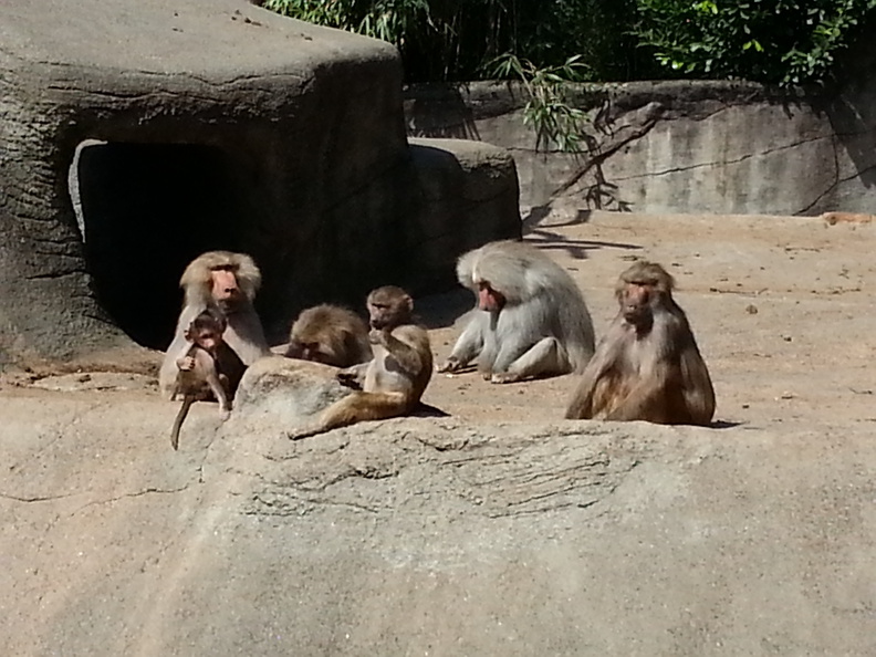 2013-06-16-11_15_29.jpg