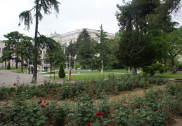 DSC04818