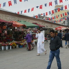 DSC04861